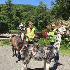 Meet your Posher, Heidi